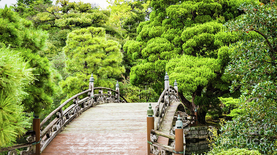 Keyakibashi bridge, Oike Niwa garden, Kyoto Photograph by Lyl Dil Creations