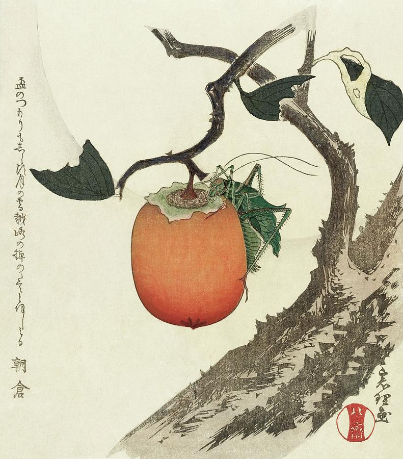 Katsushika Hokusai Mixed Media - Khaki fruit with grasshopper by Katsushika Hokusai