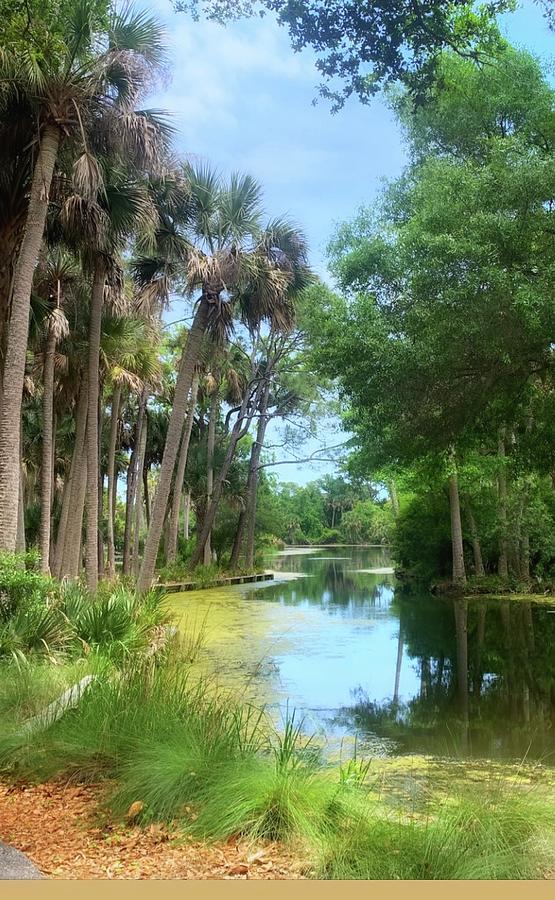 Kiawah Island Photograph by Heidi Chesko | Pixels