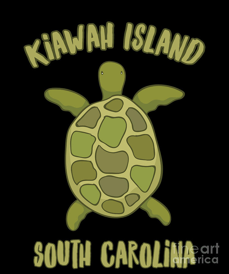 Turtle Drawing - Kiawah Island South Carolina Sea Turtle  by Noirty Designs