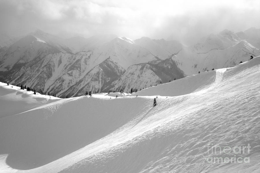 Kicking Horse Dancing Light Black And White Photograph by Adam Jewell
