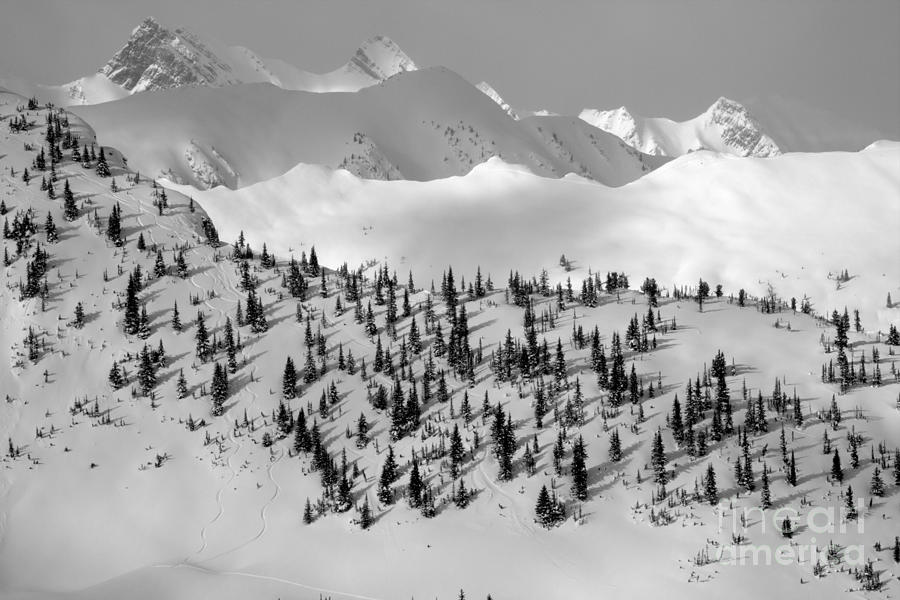Kicking Horse Extreme Terran Black And White  Photograph by Adam Jewell