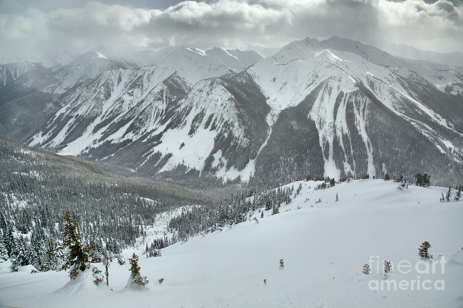 Kicking Horse Purcell Mountains Photograph by Adam Jewell