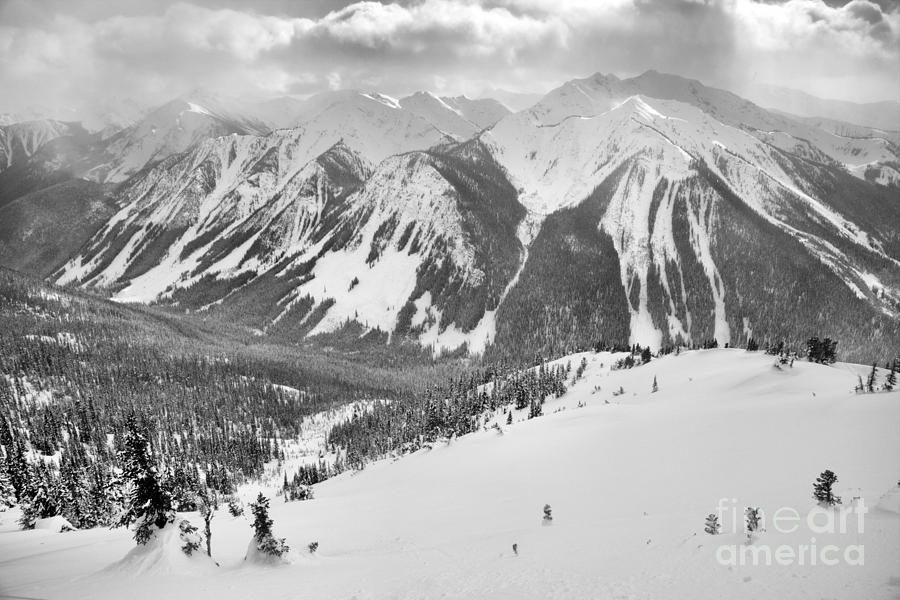 Kicking Horse Purcell Mountains Black And White Photograph by Adam Jewell