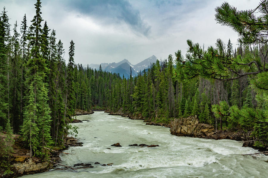 Kicking Horse River 2 Photograph by Cindy Robinson