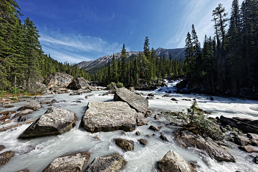 Confluence of Kicking Horse River and Yoho River Photograph by Doolittle Photography and Art