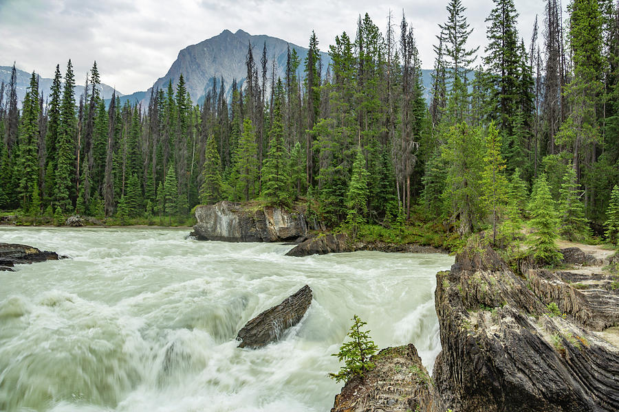 Kicking Horse River Photograph by Cindy Robinson