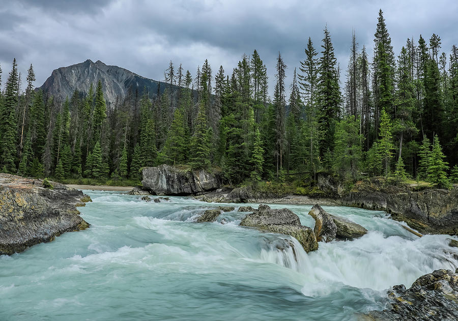 Banff National Park Photograph - Kicking Horse River by Dan Sproul