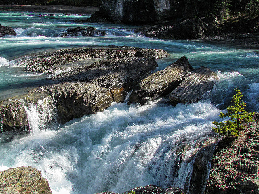 Kicking Horse River Photograph by Dianne Milliard - Fine Art America