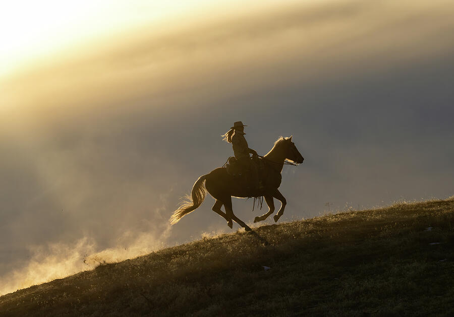 Kicking Up Dust at Sunset Photograph by Cheryl Strahl Kicking Up Dust at Sunset Photograph by Cheryl Strahl