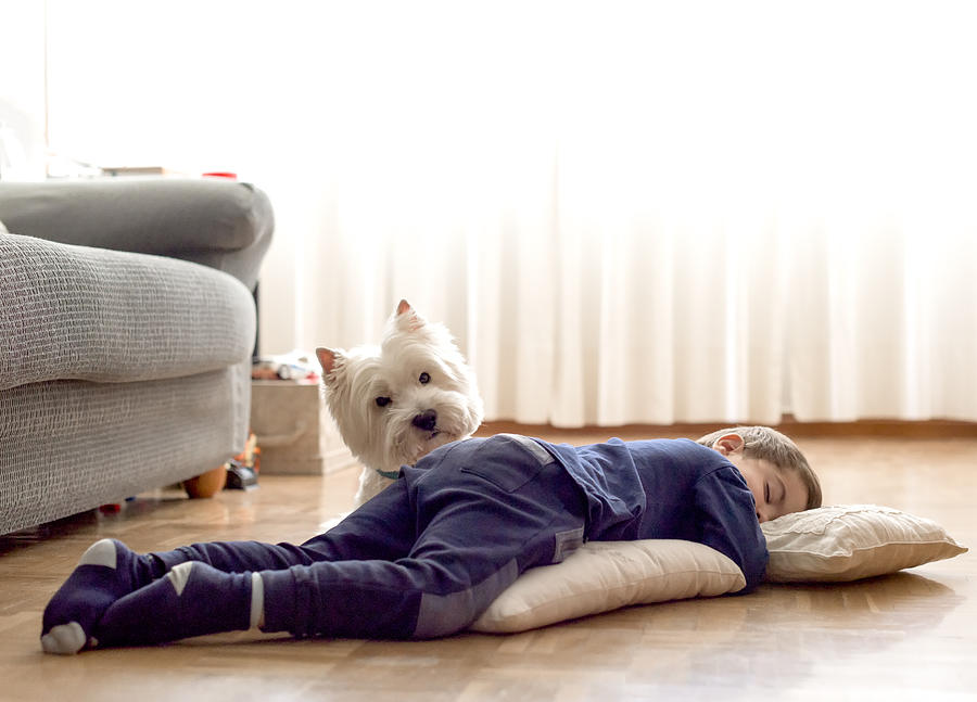 Kid, 3 Years, Sleeping On The Floor And His Westie Photograph by Miguel Sanz