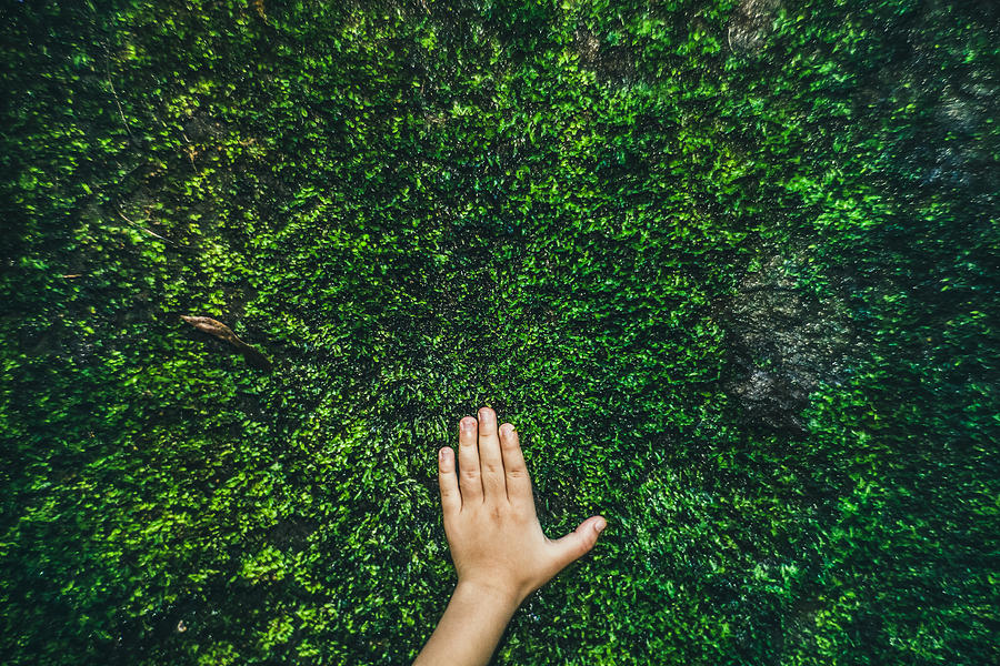 Kid Hand On Moss. Photograph by Nazar Abbas Photography
