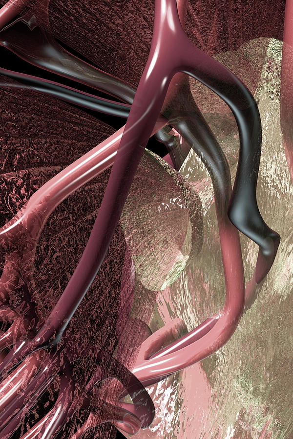 Kidney Abstract Portrait 2 Pink Digital Art by Russell Kightley