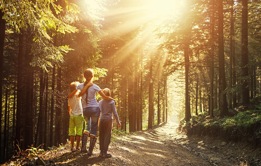 Kids watching beautiful sun beams in forest Photograph by Imgorthand