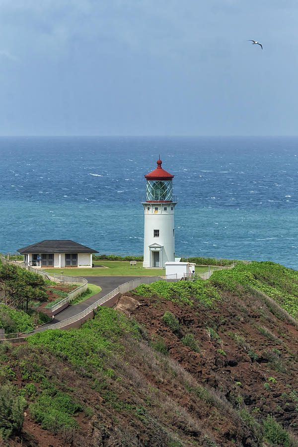Kilauea Lighthouse 2023 Photograph by Belinda Greb