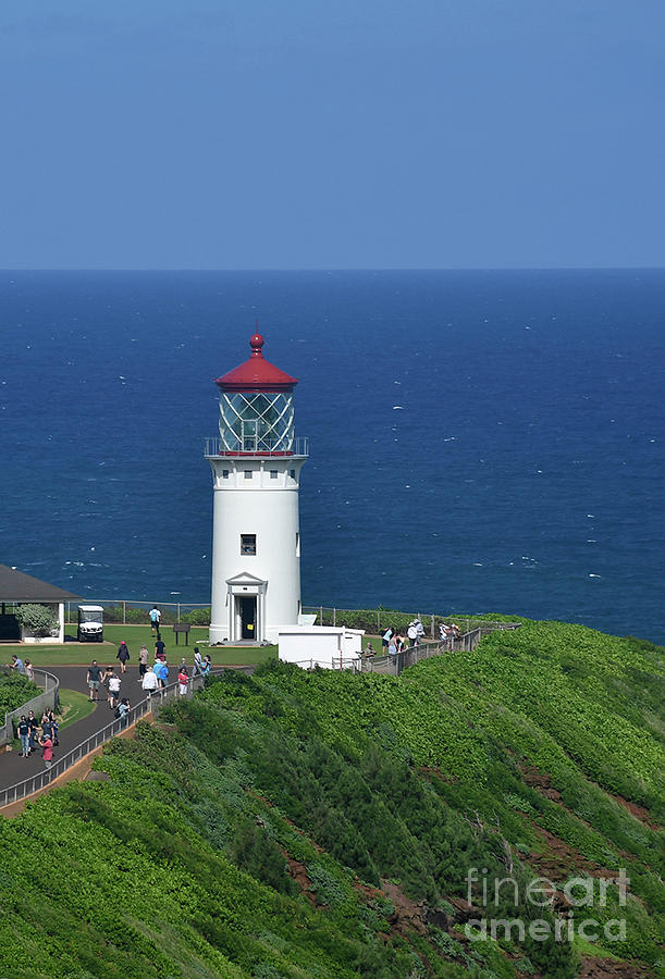 Kilauea Point Lighthouse Photograph by Cindy Murphy