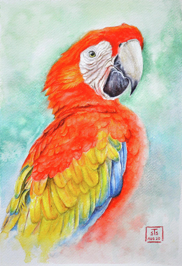Kili-o-patra - Scarlet Macaw Painting