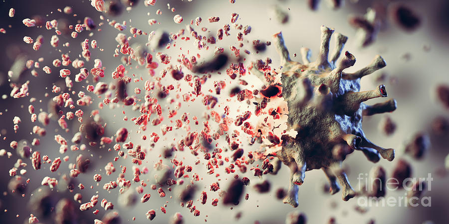 Coronavirus Photograph - Kill, remove and eliminate coronavirus. Corona virus breaking up into pieces by Michal Bednarek