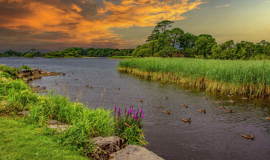 Killarney Sunset, Ireland Photograph by Marcy Wielfaert