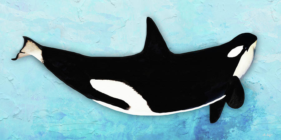 Killer Beauty Orca Whale Art Painting by Sharon Cummings