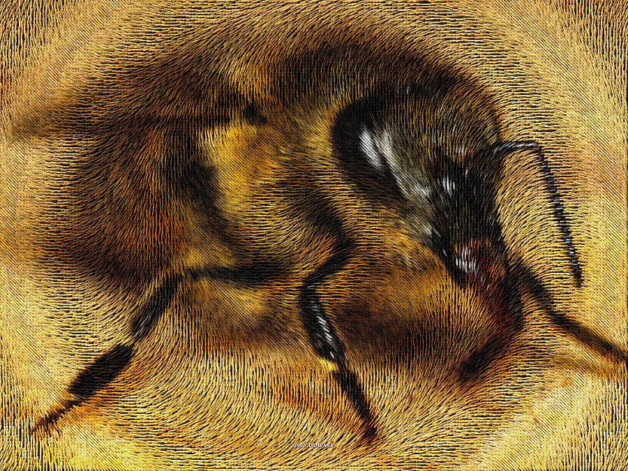 Killer Bee Digital Art
