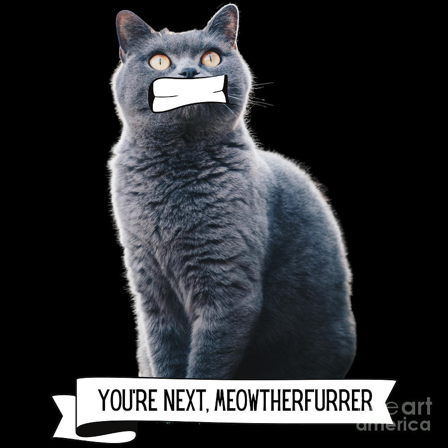 Killer Cats Youre Next Meowtherfurrer Funny Cat Lover Gift Digital Art ...