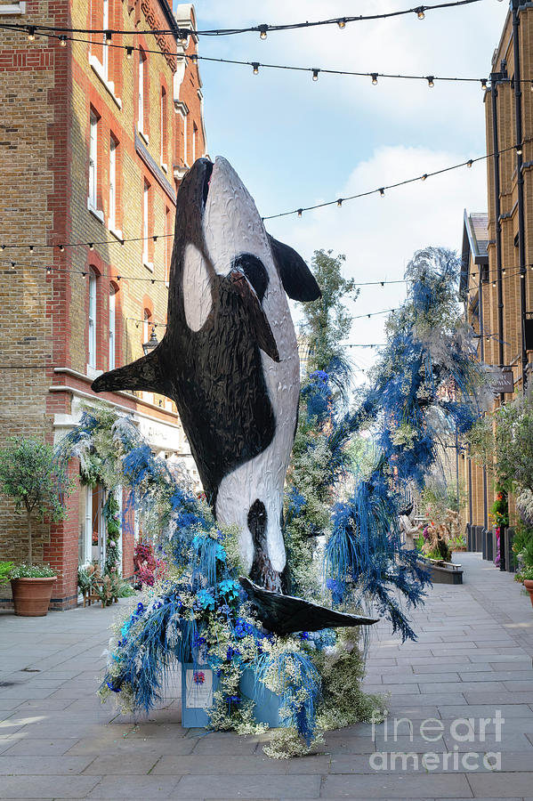Killer Whale Floral Display Pavilion Road Chelsea Photograph by Tim Gainey