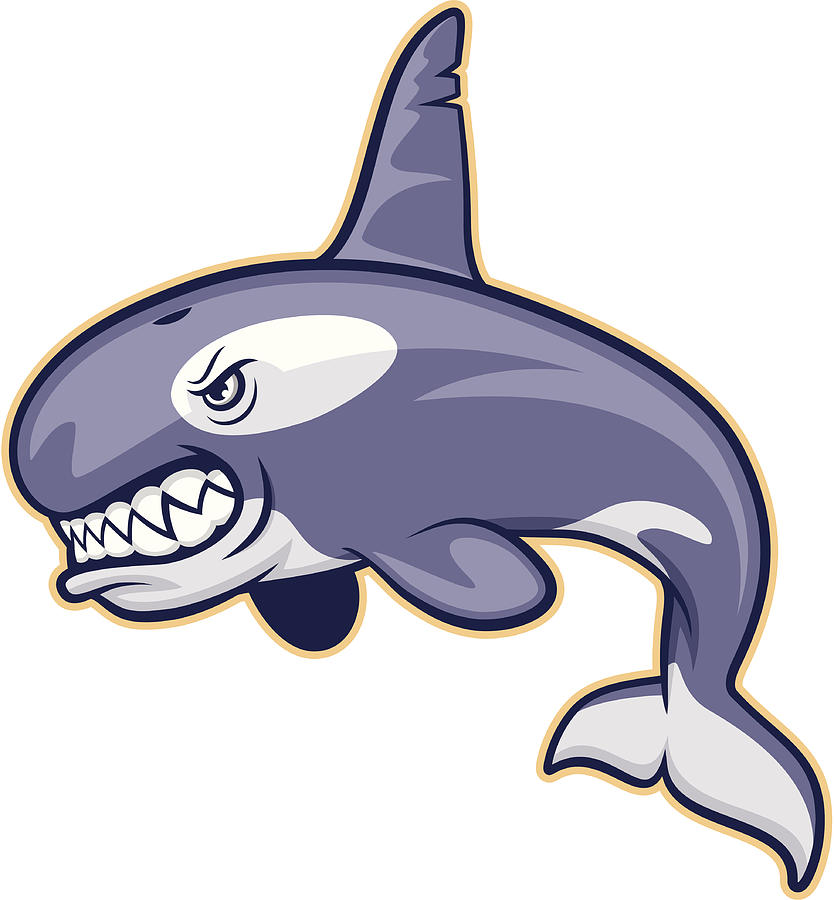 Killer Whale Mascot Drawing by MandarineTree