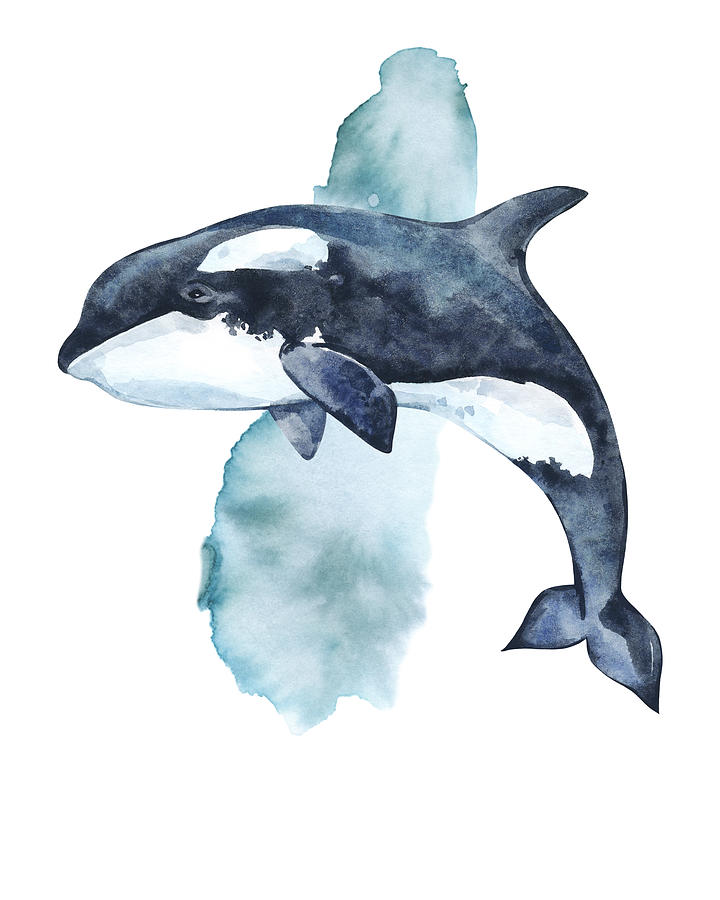 Killer Whale Splash Digital Art by N Kirouac