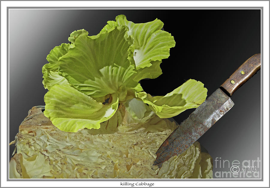 Cabbage Photograph - Killing Cabbage by Klaus Jaritz