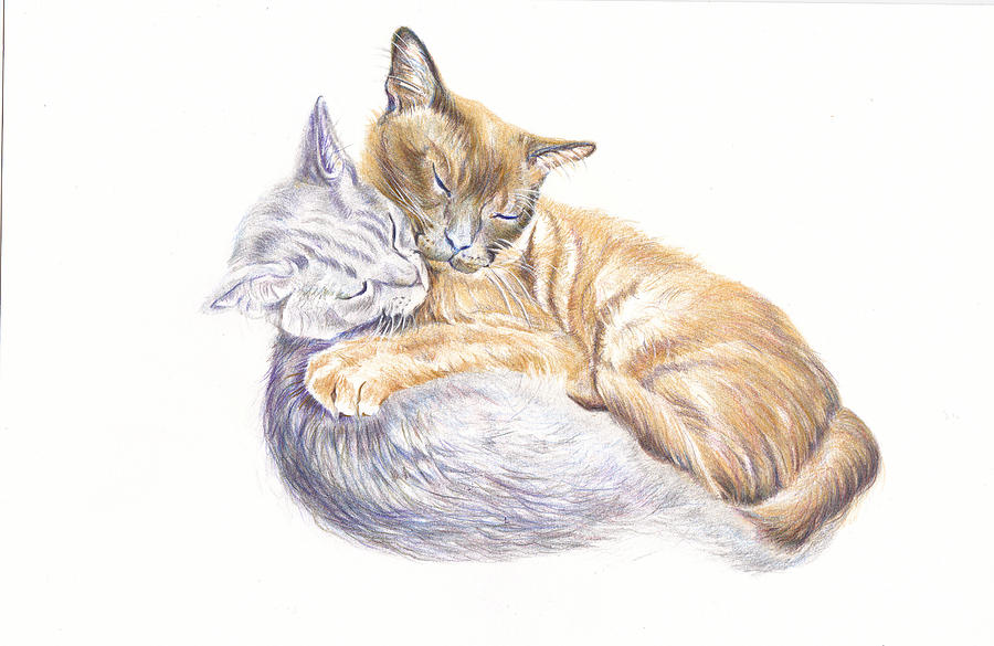 Cat Painting - Two Sleeping Cats - Warmest Hug by Debra Hall