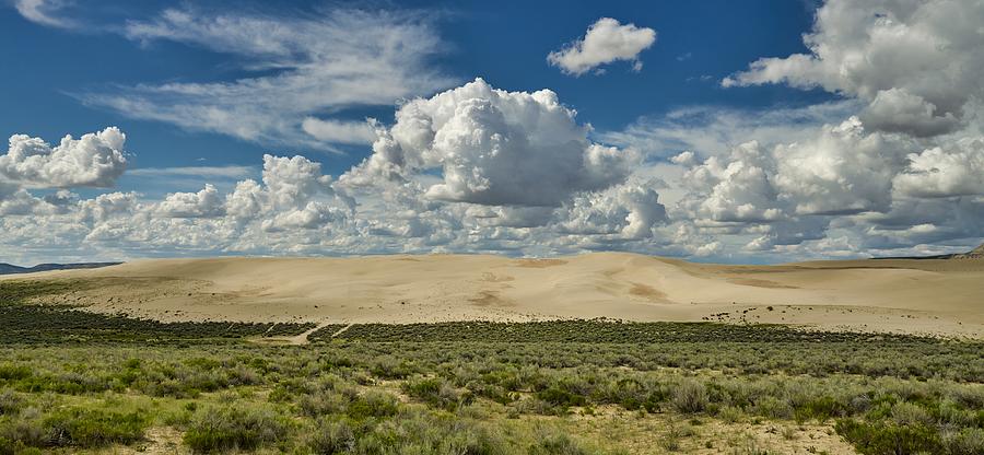 Kilpecker Sand Dunes, Wyoming Photograph by Mountain Dreams - Fine Art ...