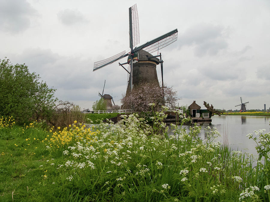 Kinderdijk Photograph by Cornelis Verwaal