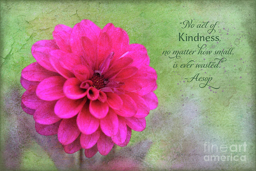 Kindness Inspirational Card and Art Photograph by Anita Pollak