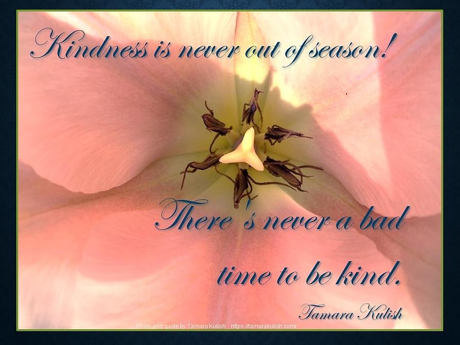 Kindness is never out of season Photograph by Tamara Kulish