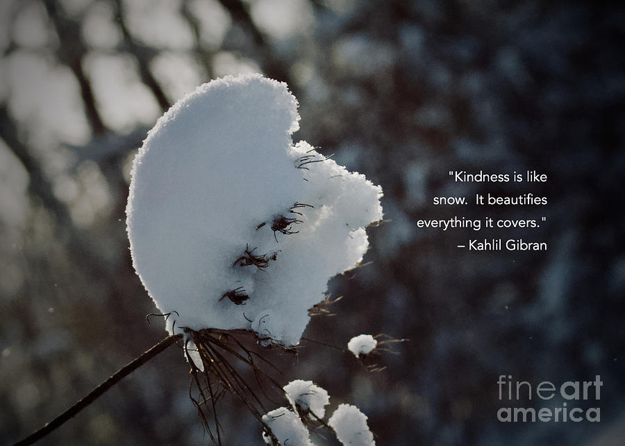 Kindness Like Snow Photograph by James Lloyd