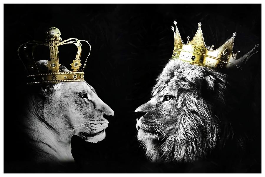 Wallpaper Lion, Design, Felidae, Carnivore, Art, Background - Download Free  Image