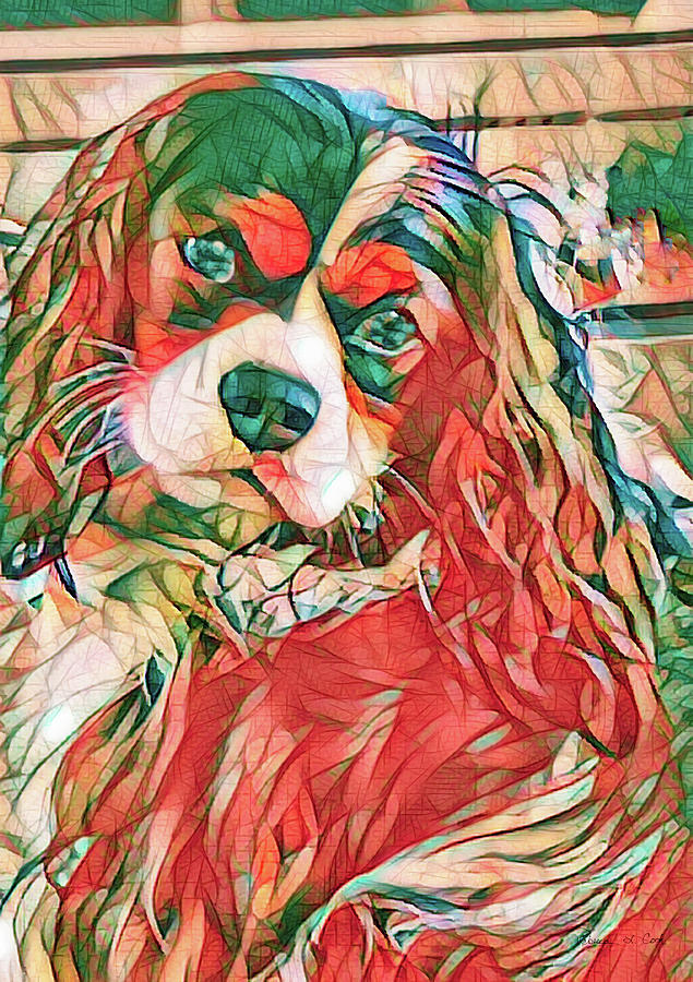 Cavalier King Charles Spaniel Commission  Photograph by Bellesouth Studio