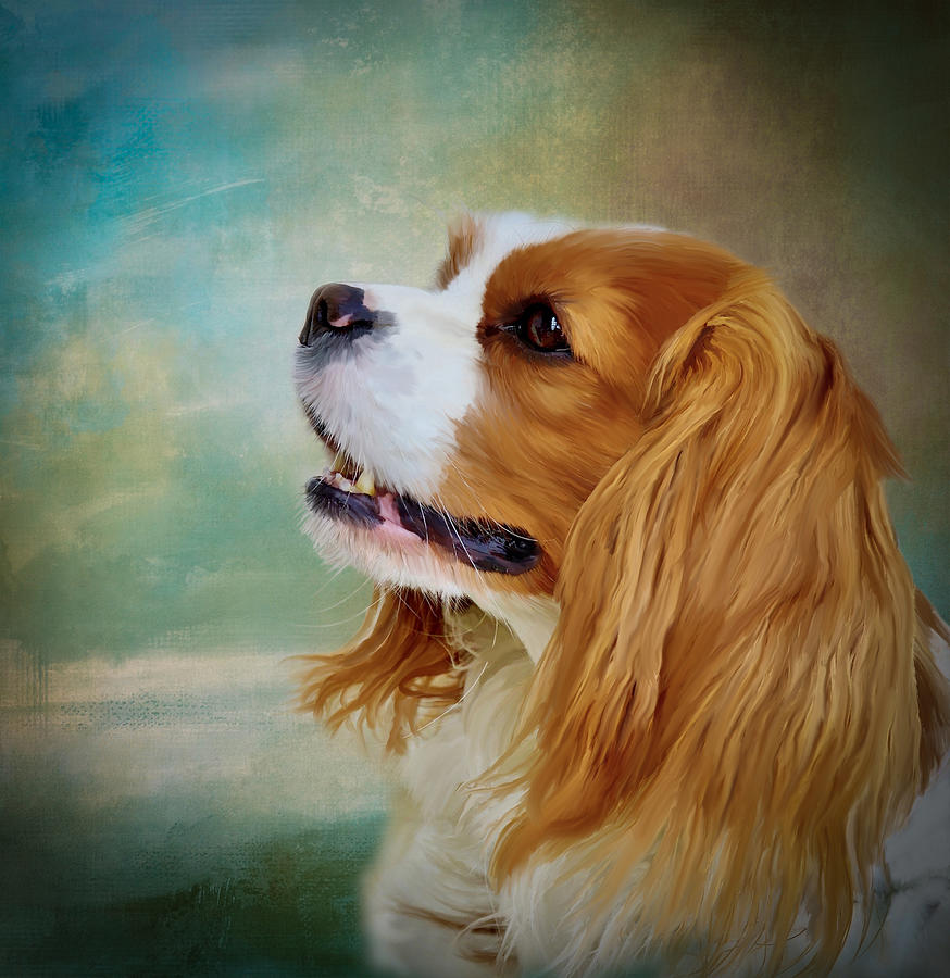 King Charles Spaniel in Springtime Mixed Media by Kathy Kelly