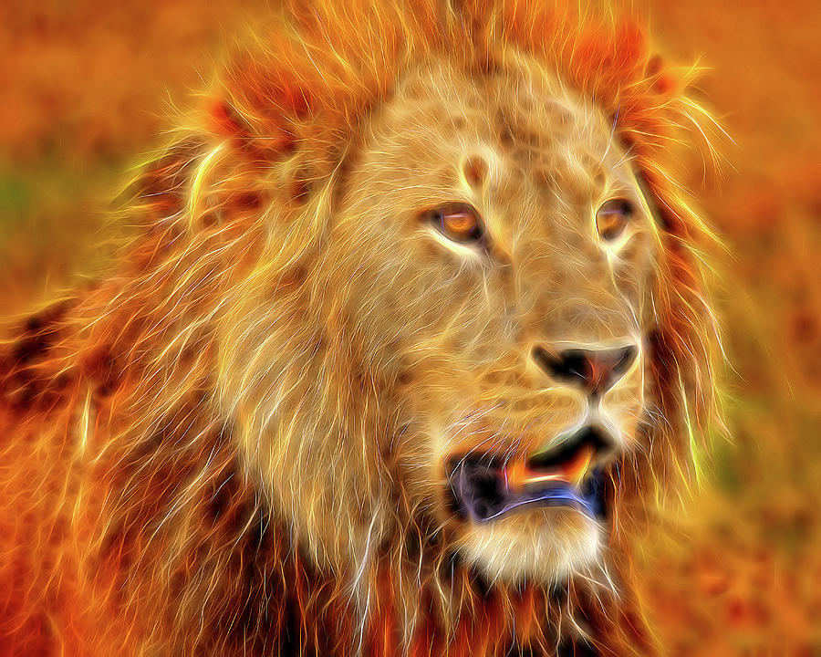 King of Beasts -Stylized Photograph by Mitchell R Grosky