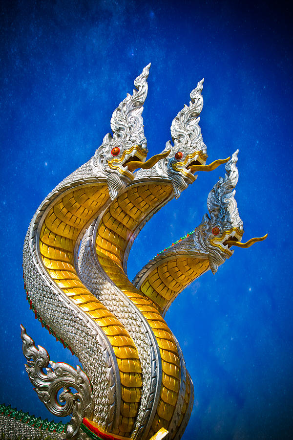 King of Naga Photograph by Apatsara Sirirodchanapanya | Fine Art America