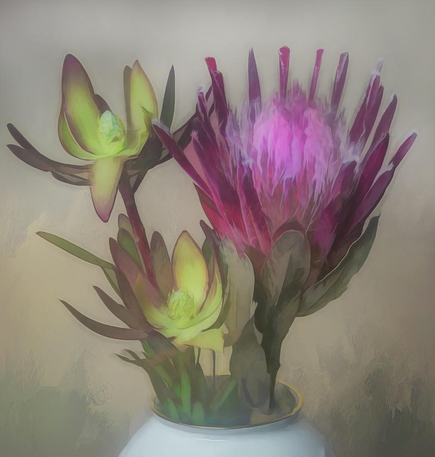 King Protea Flower Photograph by Sylvia Goldkranz