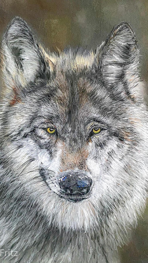 King the grey wolf Painting by Renee Fritz - Fine Art America