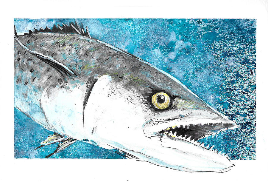 Kingfish on the fly.  Painting by Thomas Hamm