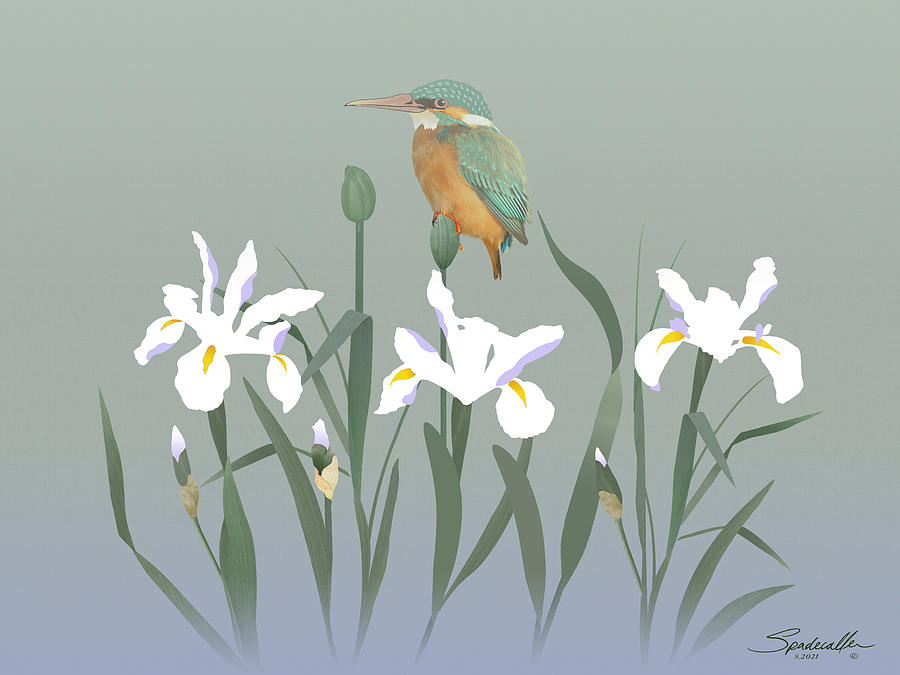 Kingfisher and Iris Mixed Media by M Spadecaller
