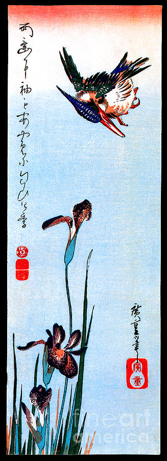 Kingfisher And Iris Painting