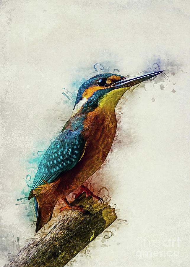 Kingfisher Art Digital Art