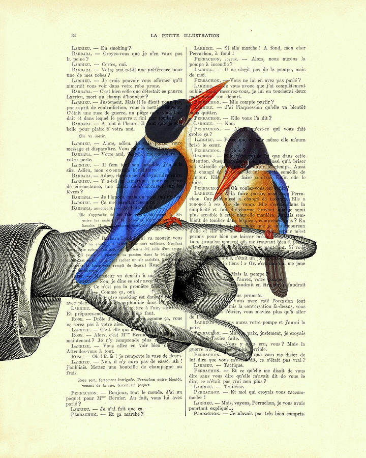 Kingfisher Mixed Media - Kingfisher couple by Madame Memento