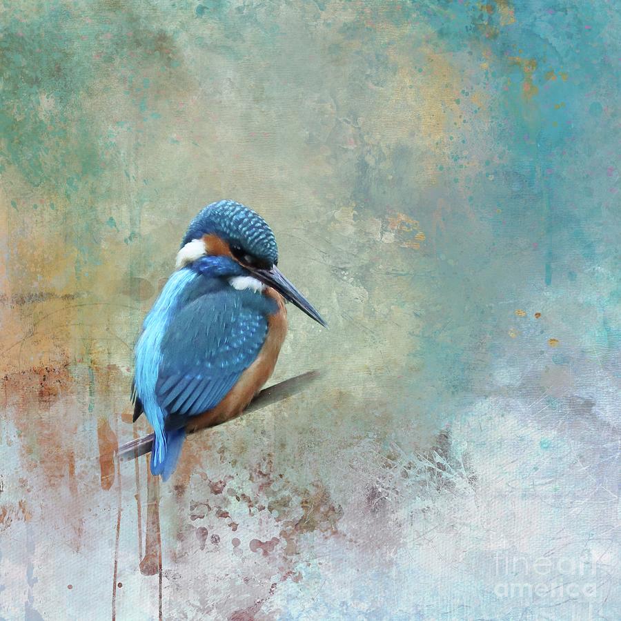 Bird Photograph - Kingfisher by Eva Lechner