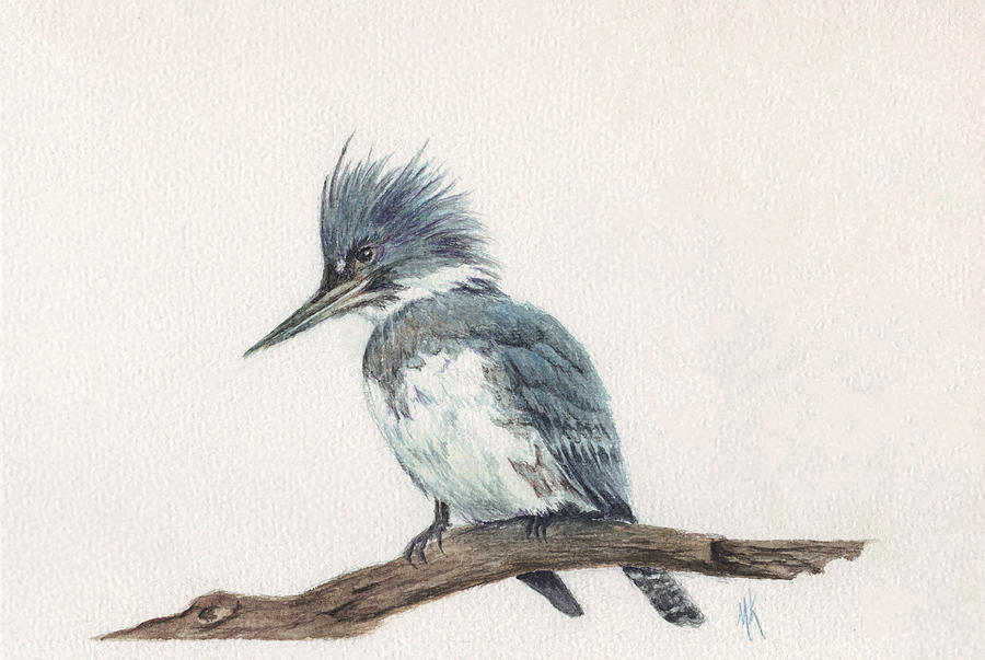 Kingfisher on a Branch Painting by Melodie Kantner